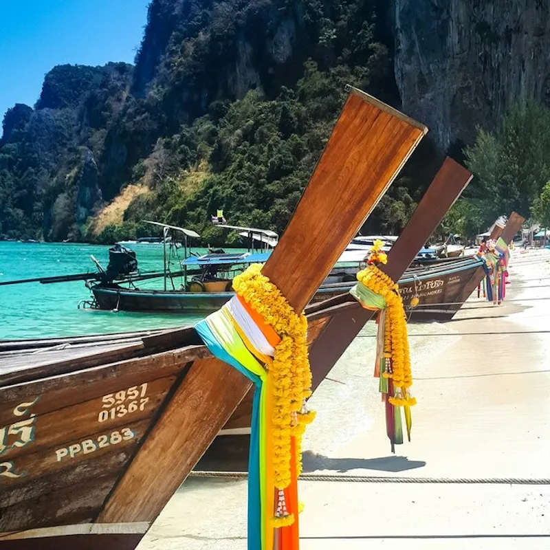 Immersi nella giungla thailandese